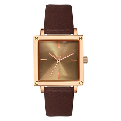 Χαλαζίας Wristwatch γυναικών λουριών δέρματος/πλέγματος αδιάβροχος τετραγωνικός πίνακας μη κλίμακας 30M ζωής