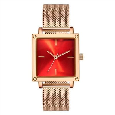 Χαλαζίας Wristwatch γυναικών λουριών δέρματος/πλέγματος αδιάβροχος τετραγωνικός πίνακας μη κλίμακας 30M ζωής