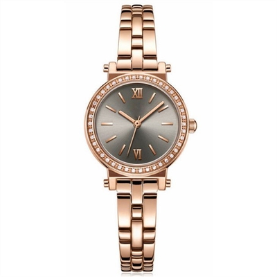 Μετριασμένος γυαλιού κραμάτων Wristwatch πίνακας Sandblasted ζωνών θηλυκός αδιάβροχος