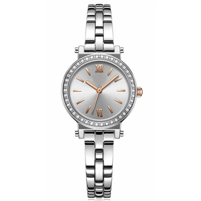 Μετριασμένος γυαλιού κραμάτων Wristwatch πίνακας Sandblasted ζωνών θηλυκός αδιάβροχος