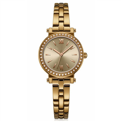 Μετριασμένος γυαλιού κραμάτων Wristwatch πίνακας Sandblasted ζωνών θηλυκός αδιάβροχος