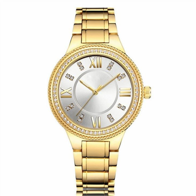 Καθορισμένη ζώνη 20cm χάλυβα διαμαντιών Wristwatch χαλαζία γυναικών περίπτωσης Aolly λουρί